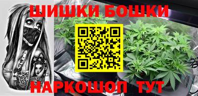 крисы Ирбит