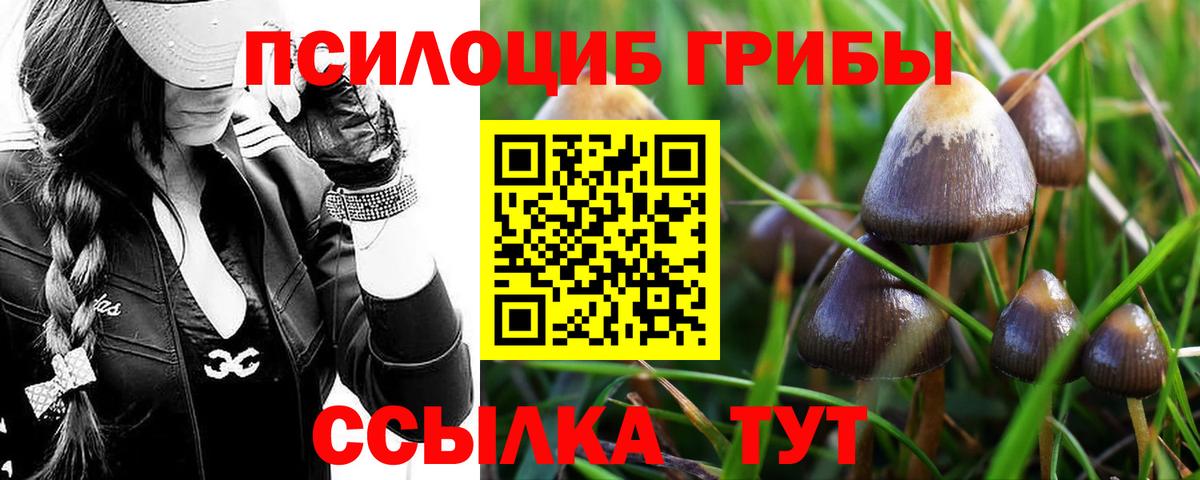 Псилоцибиновые грибы Magic Shrooms Боровичи