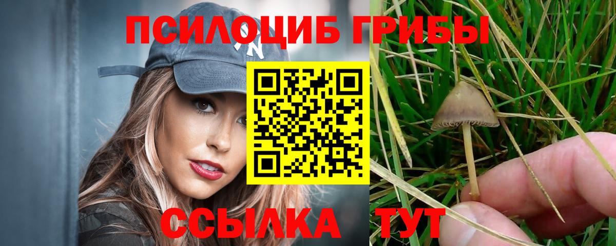 Псилоцибиновые грибы мицелий  Псилоцибиновые грибы Cubensis  Вход с VPN  Боровичи 
